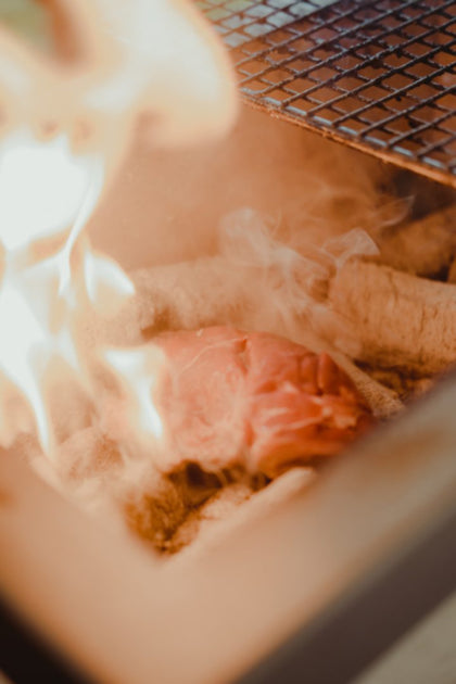 Kasai Konro Grill with Stainless Steel Frame V2 - Globaltic